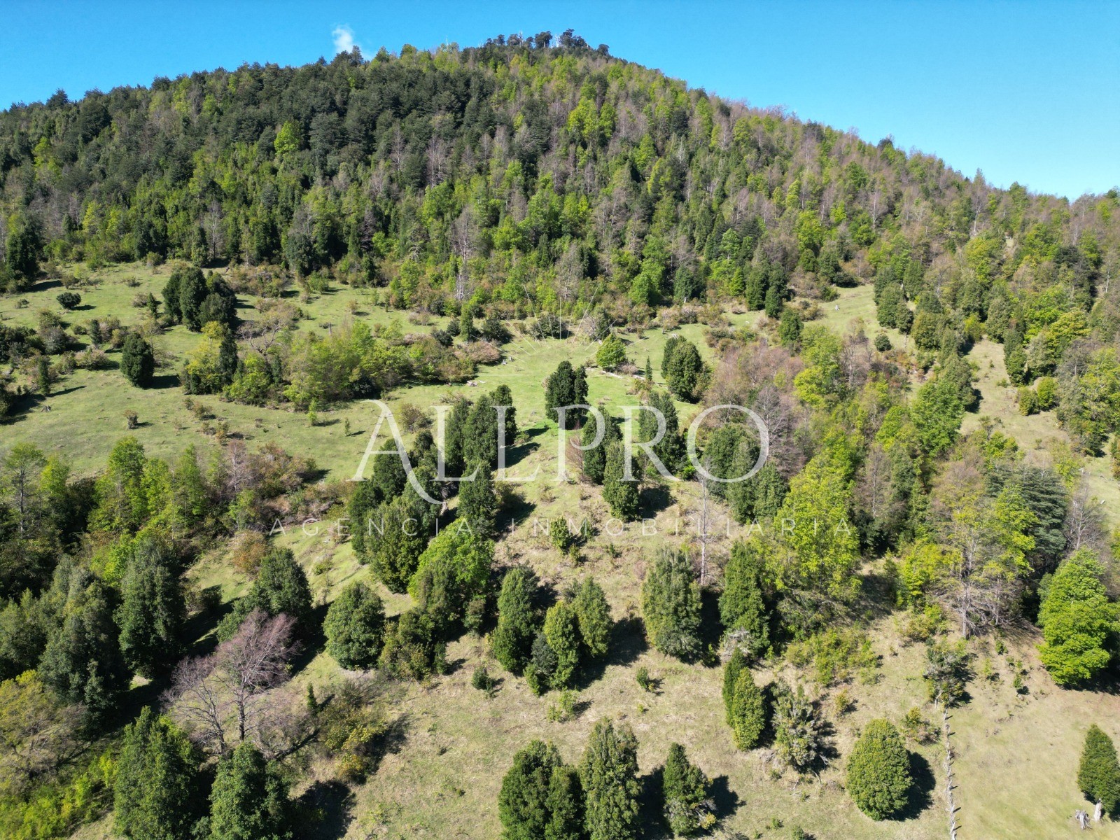 🌋🌿 Campo en venta en Pucón – Tiqueco Coilaco | 20,42 ha y 12,78 ha con vista a volcán y lago